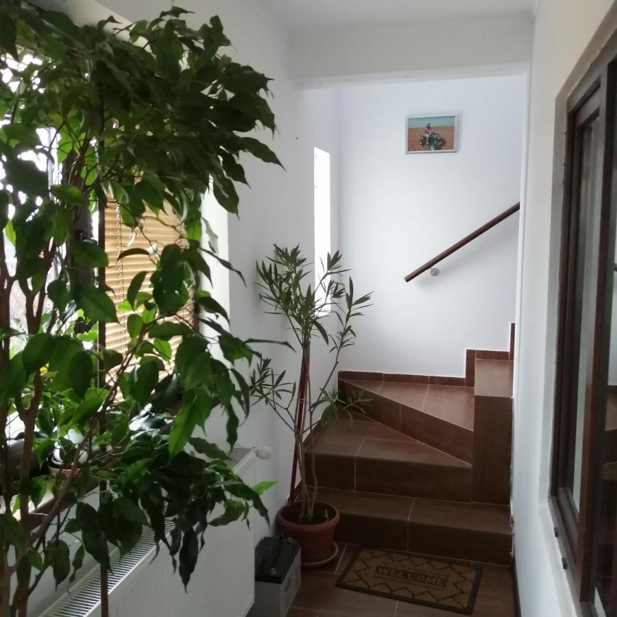 Villa 38 Silviu Apartment Bukurešť Exteriér fotografie